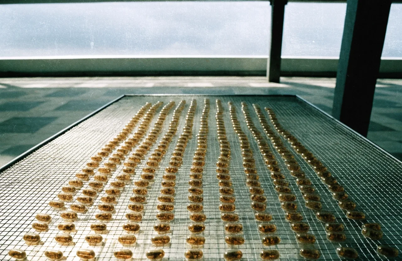 Amber herbal capsules drying in rows on a wire mesh tray in a tiled workshop